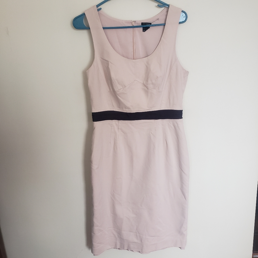 Club Monaco Blush Amber Sheath Dress Size 10